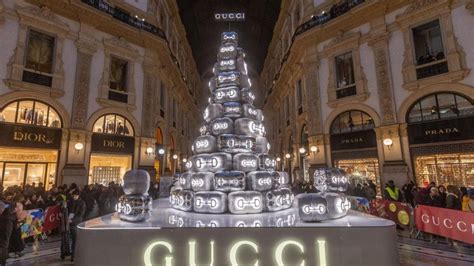 l albero di gucci|Perché l’albero di Gucci in Galleria a Milano sta  .